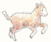 lamb 1