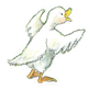 cute duck2
