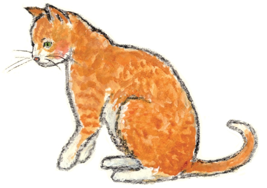 This image has an empty alt attribute; its file name is florries-cat.jpg