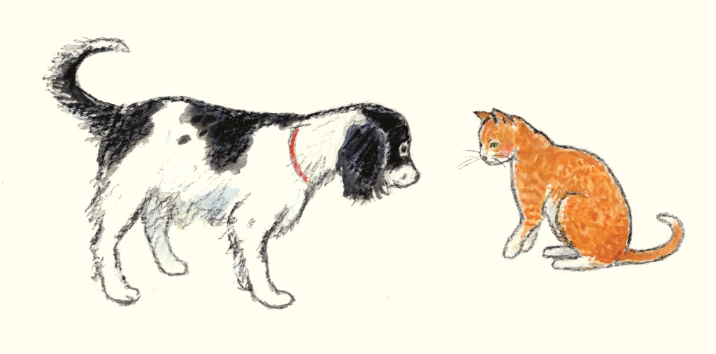 This image has an empty alt attribute; its file name is molly-and-ginger-cat.jpg